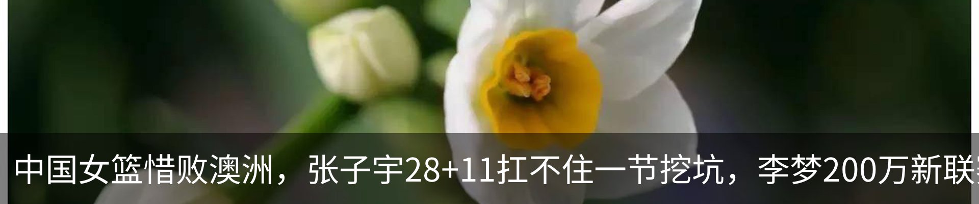 行业资讯