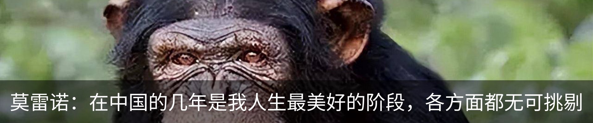 行业资讯