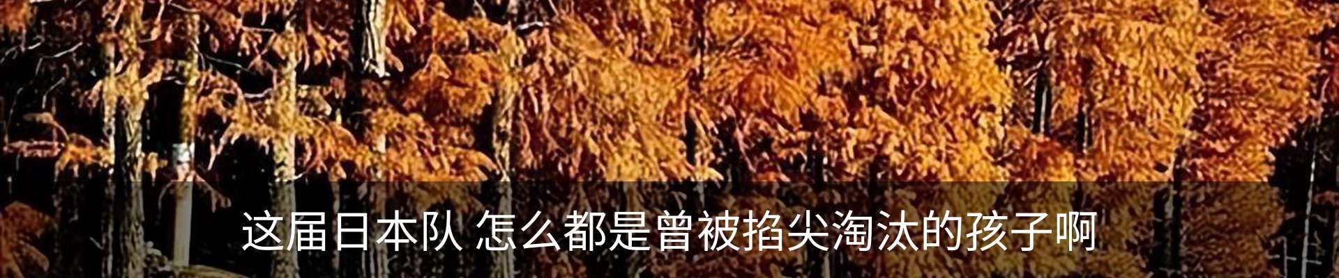 行业资讯