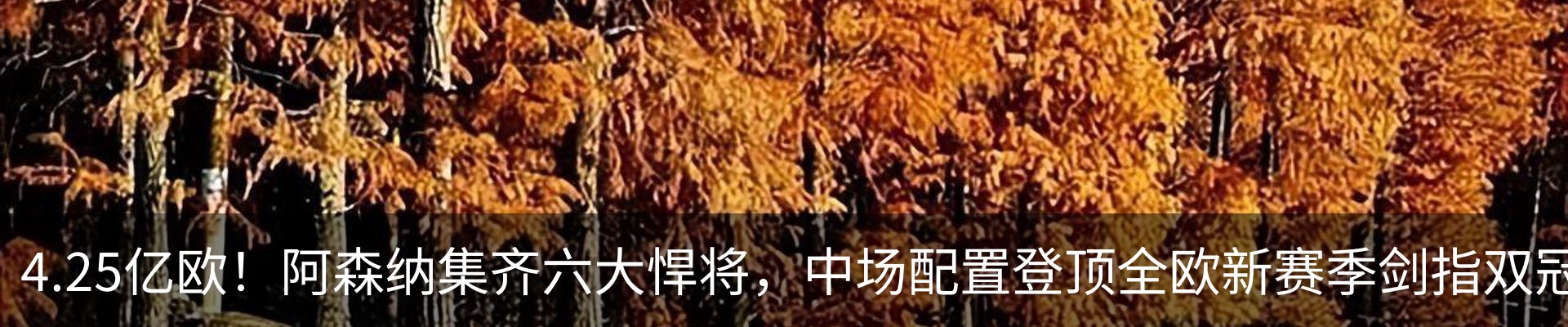 行业资讯